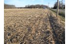 Property photo 10 - 44 Acres Offered in 3 Tracts